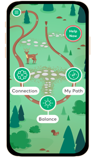 Veteran's Wellness Path mobile home screen